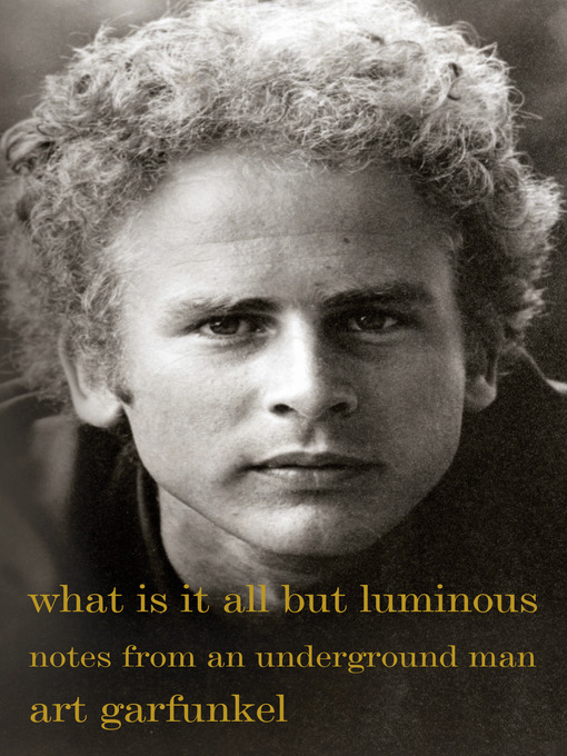Title details for What Is It All but Luminous by Art Garfunkel - Available